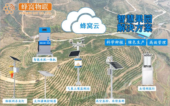 熊猫体育网站：蜂窝物联智慧果园新风尚：一键管理果香满园