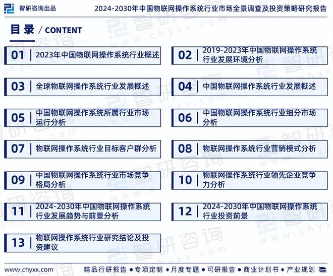 2024版中国物联网操作系统行业市场概况分析及投资前景分析报告(图2)
