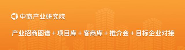 熊猫体育：2024年中国MCU行业市场前景预测研究报告(图17)