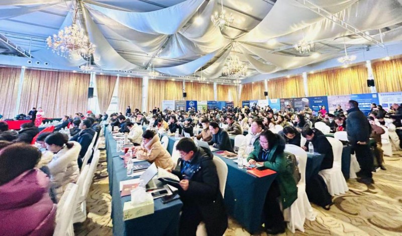 熊猫体育平台：立足新起点践行新理念奋力开拓新局面—上海浦东智能照明联合会2024年工作总结及2025年工作要点