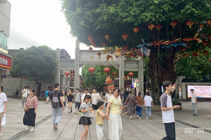 一棵树冠一座城：行人不知暑万古长清风(图3)