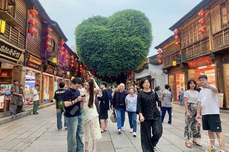 一棵树冠一座城：行人不知暑万古长清风(图4)
