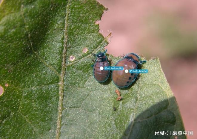 “AI+农业”：重塑农业生产的智慧蓝图(图9)