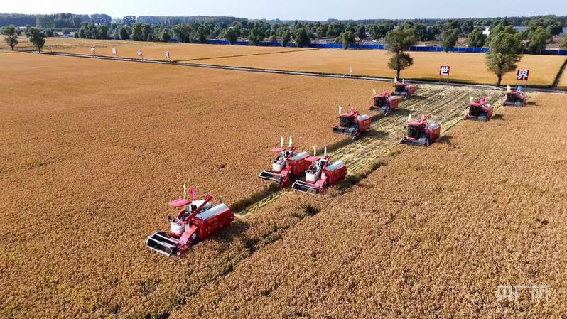熊猫体育网站：中国“丰景”正当时：硬核科技惠农秋收颗粒归仓