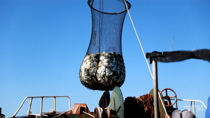 熊猫体育网站：中国“丰景”正当时：硬核科技惠农秋收颗粒归仓(图5)
