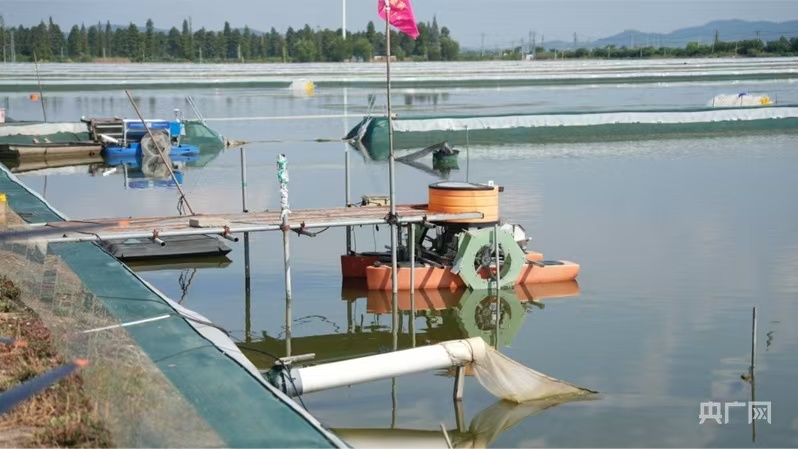 熊猫体育网站：中国“丰景”正当时：硬核科技惠农秋收颗粒归仓(图7)