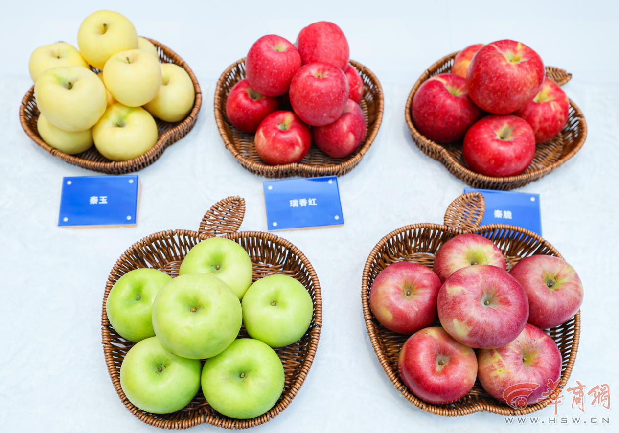 解码杨凌农科城创新实践丨勇立现代农业潮头中国农科城杨凌的“破”与“立”(图2)