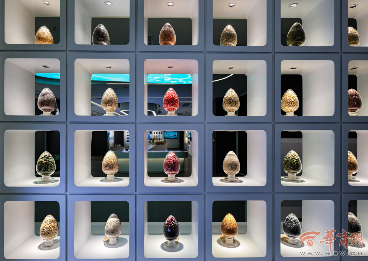 解码杨凌农科城创新实践丨勇立现代农业潮头中国农科城杨凌的“破”与“立”(图3)