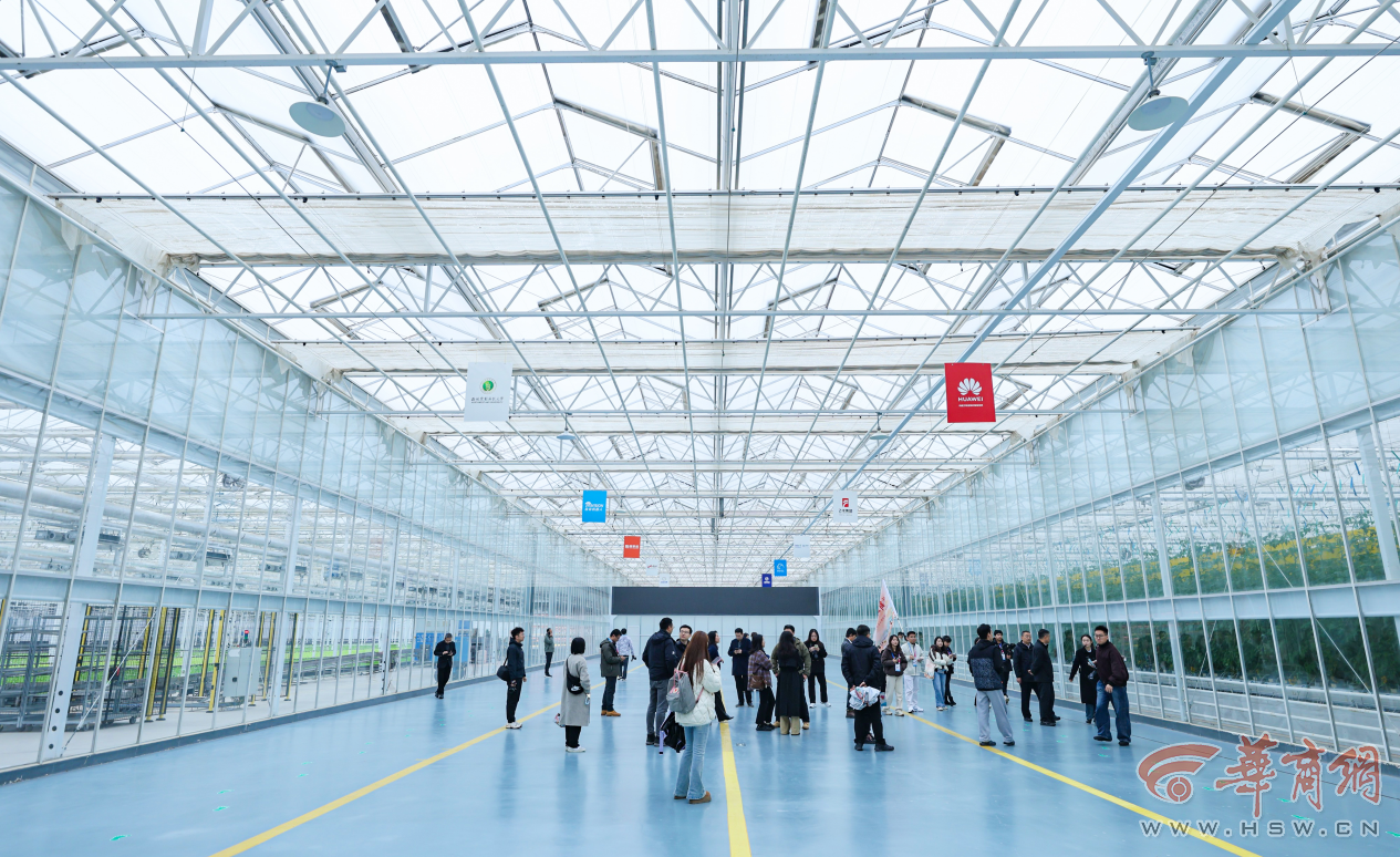 解码杨凌农科城创新实践丨勇立现代农业潮头中国农科城杨凌的“破”与“立”(图5)