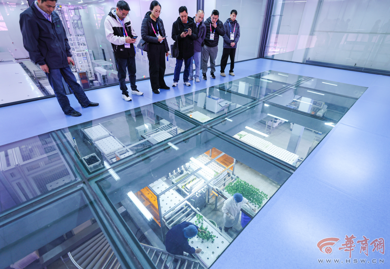 解码杨凌农科城创新实践丨勇立现代农业潮头中国农科城杨凌的“破”与“立”(图6)