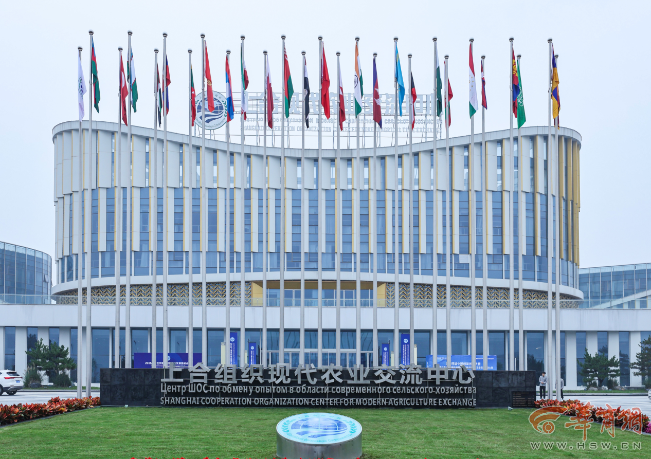 解码杨凌农科城创新实践丨勇立现代农业潮头中国农科城杨凌的“破”与“立”(图9)