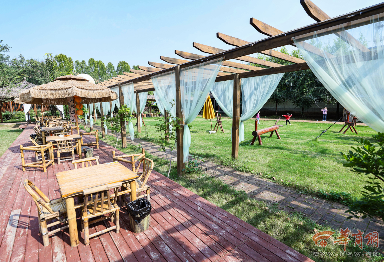 解码杨凌农科城创新实践丨勇立现代农业潮头中国农科城杨凌的“破”与“立”(图11)