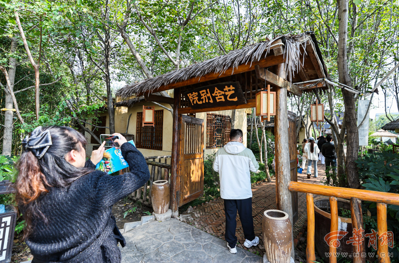 解码杨凌农科城创新实践丨勇立现代农业潮头中国农科城杨凌的“破”与“立”(图12)