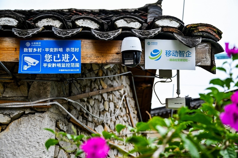 从花江峡谷大桥出发：探访“多彩贵州移起向新”(图10)