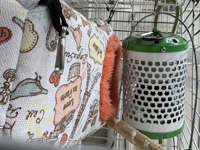 熊猫体育：天冷添衣、智能控温……宠物过冬撬动千亿元市场(图3)