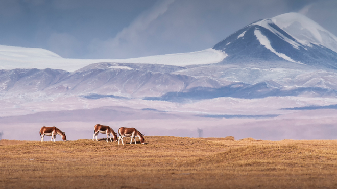 百年三叉星遇上中国新局时间从不会辜负坚持者(图3)