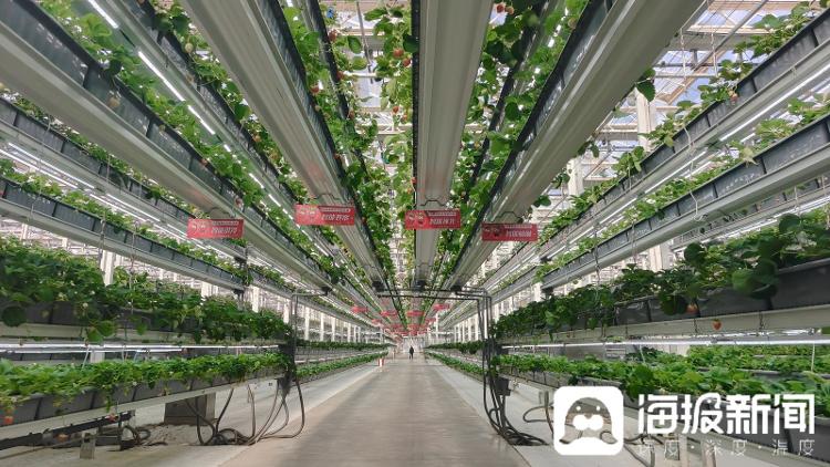 “点水成金”——看聊城如何破解水资源约束与高质量发展之题(图3)