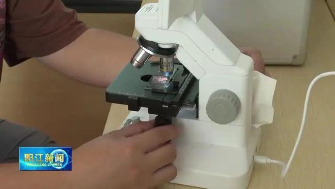 海丝路上的蓝色粮仓大食物观的阳江实践2025年丝绸之路电视共同体高峰论坛特别报道(图4)