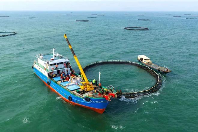 海丝路上的蓝色粮仓大食物观的阳江实践2025年丝绸之路电视共同体高峰论坛特别报道(图9)