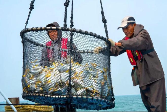 海丝路上的蓝色粮仓大食物观的阳江实践2025年丝绸之路电视共同体高峰论坛特别报道(图8)