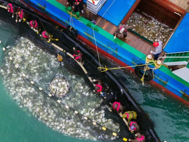 海丝路上的蓝色粮仓大食物观的阳江实践2025年丝绸之路电视共同体高峰论坛特别报道(图10)