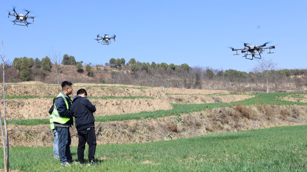 甘肃成县：乡村振兴画卷新(图4)