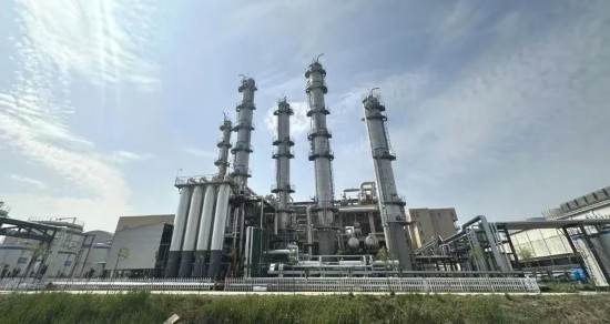 好粮有网上新季一粒小麦的“裂变”密码：解码中裕食品创新基因(图3)